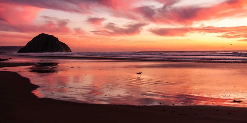 Life Inspiration in Motion: How Cross-Cultural Migration Fuels Creative Ideas and Motivation