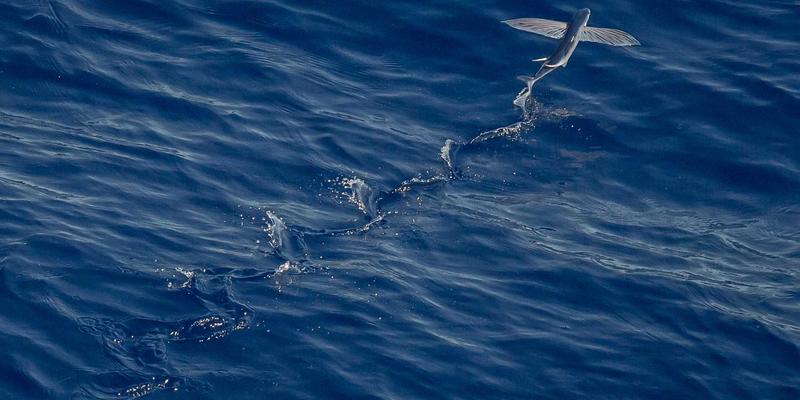 Things to Do for Self-Discovery: Creative Ideas from Serious Games and Role-Playing for Your Bucket List