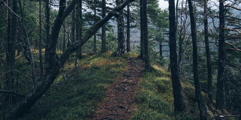 人生灵感93：一份唤醒热情的生命清单指南