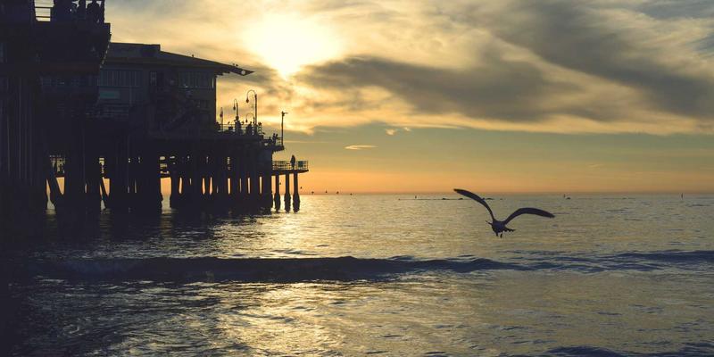 从倦怠到新生：3个中年职业转型的真实案例与人生灵感分享