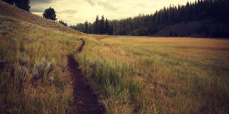 从工业设计到人生清单:用创造性思维重塑生活灵感