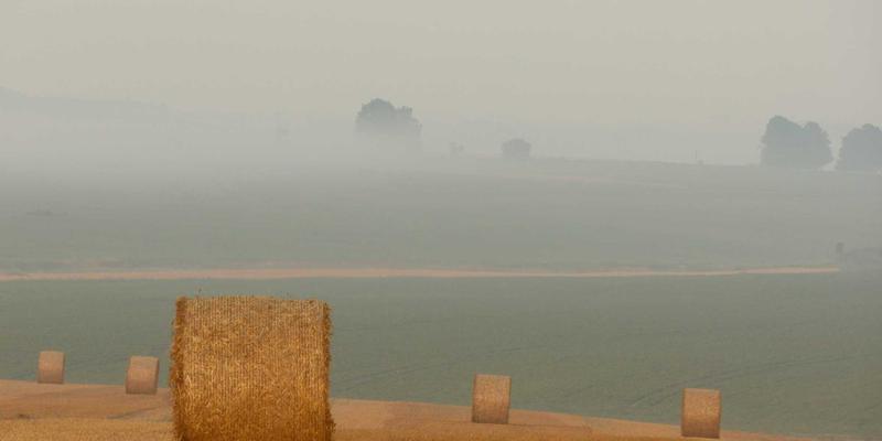 从工业设计巨匠传记中汲取人生灵感：重塑你的创意活动与职业规划