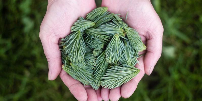 工业设计如何重塑日常:从灵感到行动的创意生活指南