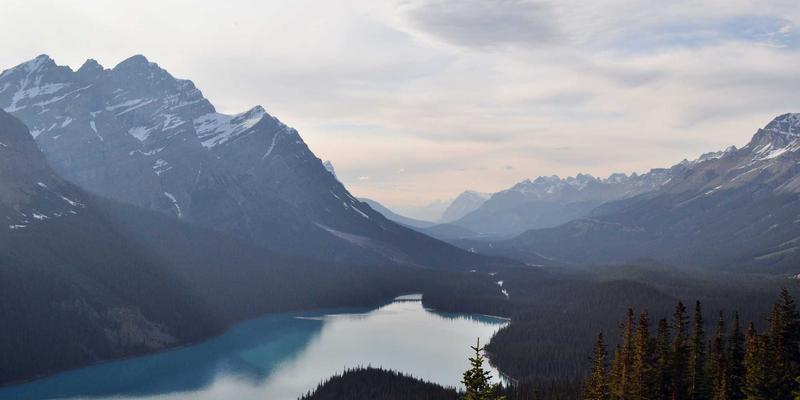 数字极简主义：一份重塑信息环境的创意活动清单（Bucket List）