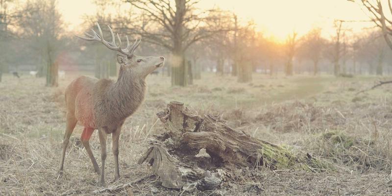 极简主义生活哲学：通过减少物质拥有来丰富精神世界的灵感与活动