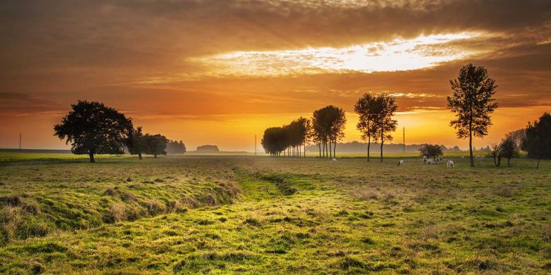 解锁内在动力：如何通过深度游戏与创意活动重燃成年人的生命热情