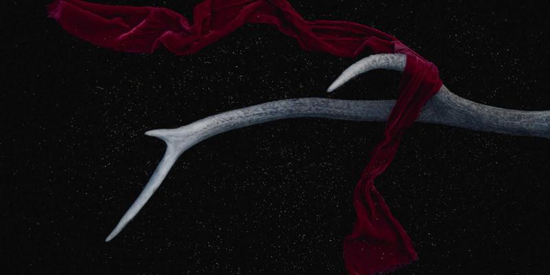 跨学科思维：激发生活灵感与创造力的知识模型