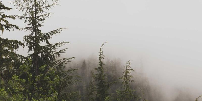 过渡仪式设计：用创意活动为人生转折点注入深刻意义与灵感