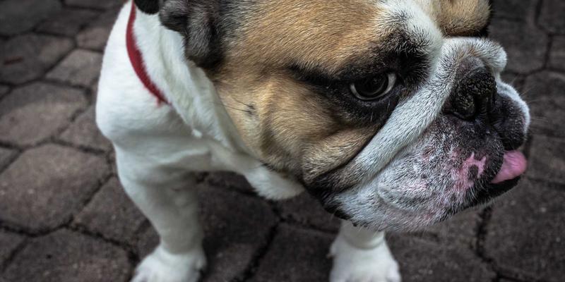 重拾生活灵感：从日常小事中发现生命能量的10个行动指南